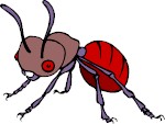 A very ugly ant